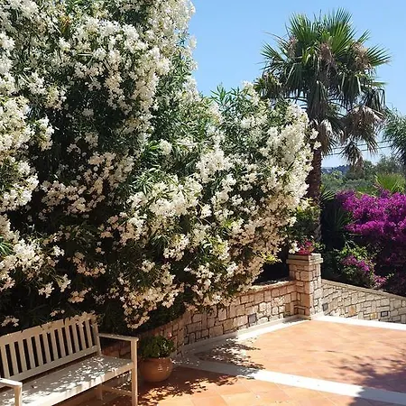 Hotel Delfino Blu Wellness Boutique 4*